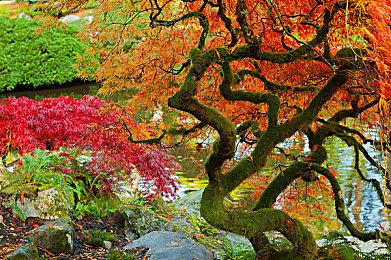 杂志透露《月姬：重制版》将登陆PC 发售时间待定